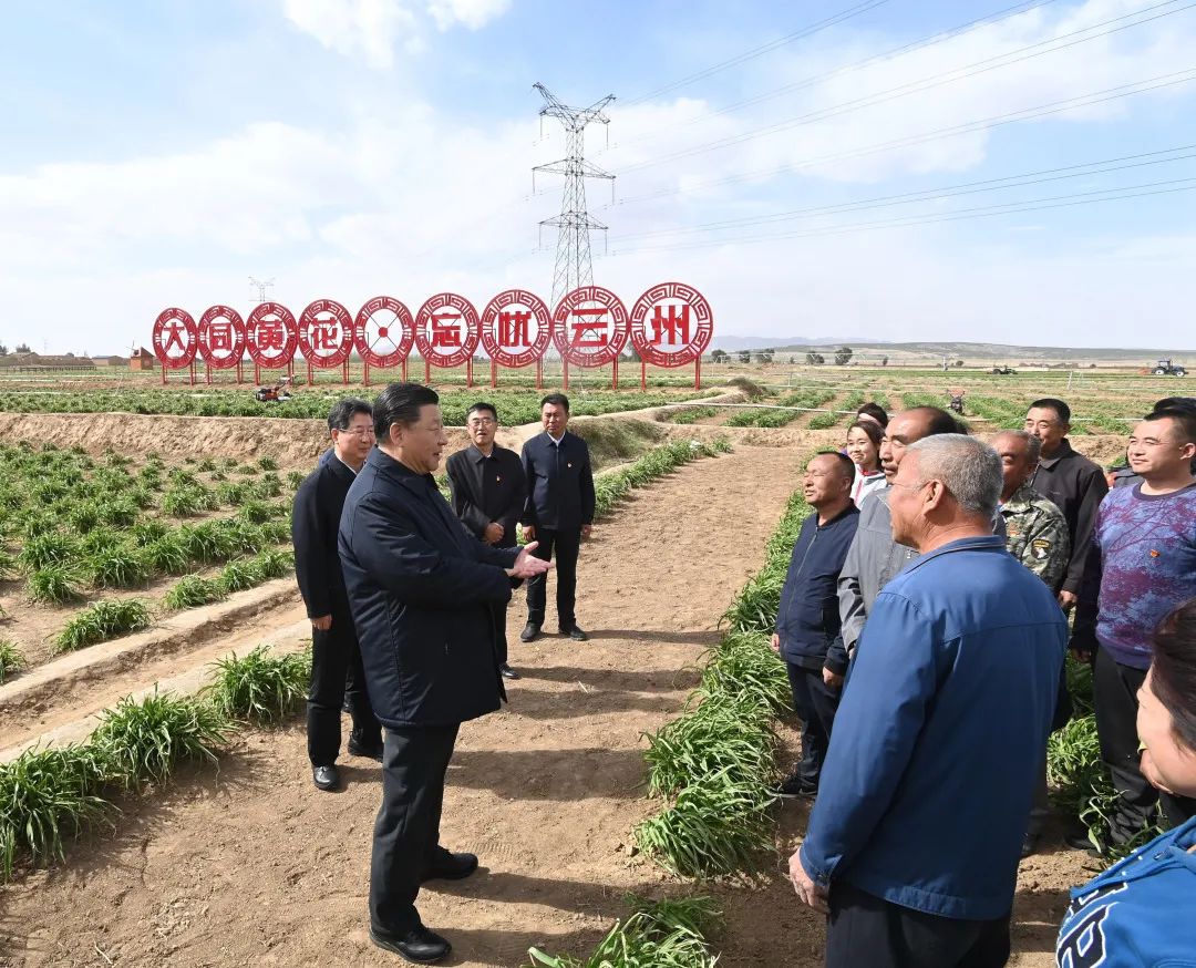 2020年5月11日，習近平考察山西大同市云州區(qū)有機黃花標準化種植基地。新華社記者 李學仁 攝