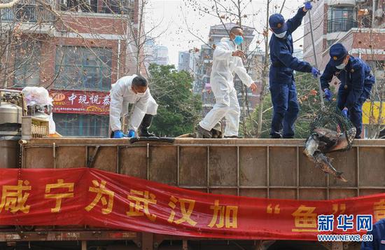 3月13日，一批運到湖北省武漢市硚口區(qū)華生漢口城市廣場社區(qū)的活魚在卸貨。當(dāng)日，首批100噸調(diào)配自咸寧市的活魚運抵武漢市硚口區(qū)11個街道下轄社區(qū)。 新華社記者 程敏 攝